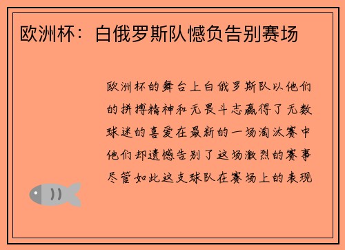 欧洲杯：白俄罗斯队憾负告别赛场